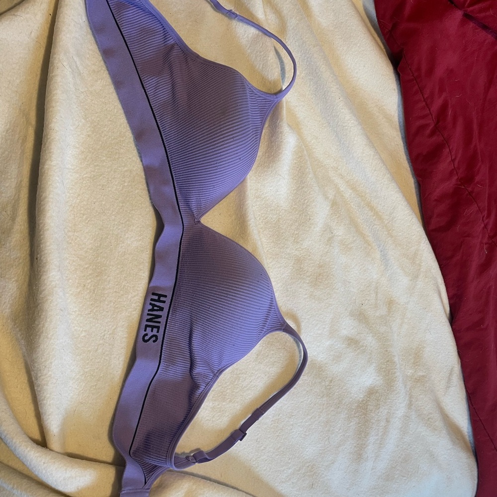 Hanes Lavender Bralette